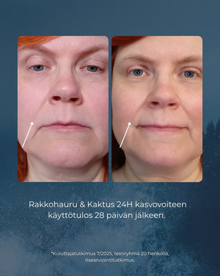 Rakkohauru & Kaktus 24H prebioottinen kasvovoide herkälle iholle