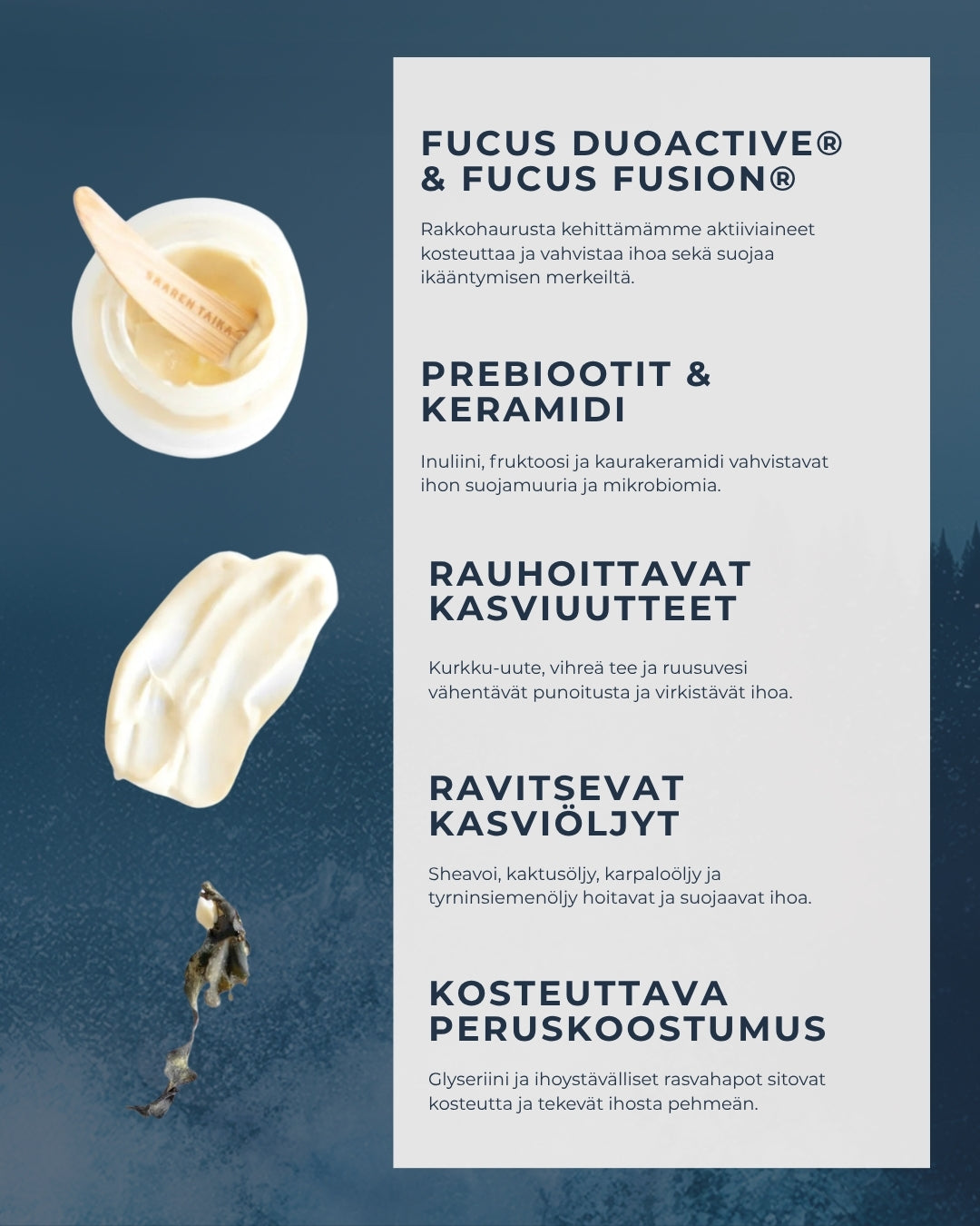 Bladderwrack & Cactus 24H prebiotic face cream for sensitive skin