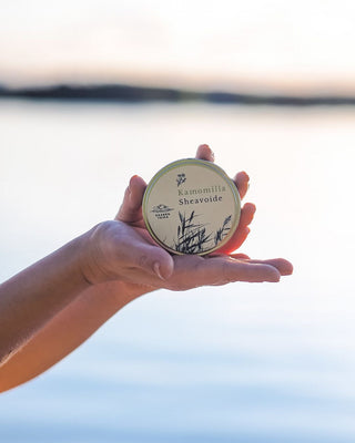 kamomilla sheavoide kutinaan, ihottumaan, ekseemaan, ötökänpistoksiin